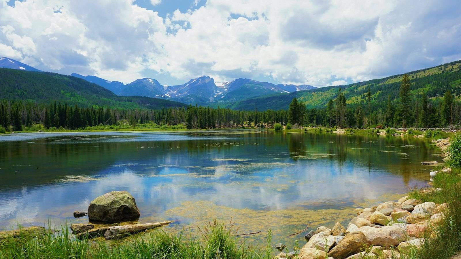 Green trees near lake under white clouds and blue sky during daytime