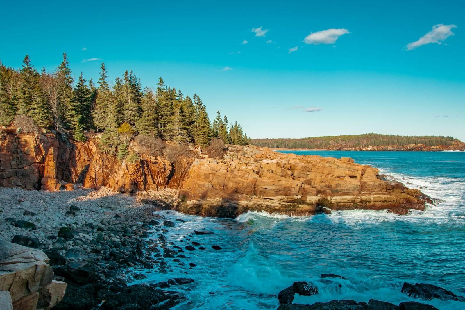 Green trees on brown rocky mountain beside blue sea under blue sky during daytime